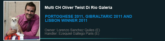 Multi Ch Oliver Twist Di Rio Galeria